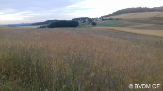 Eifel